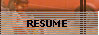 Link to Resume